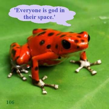 A red and black frog on a green surface

Description automatically generated